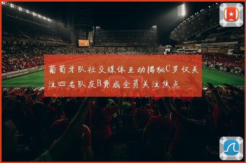 葡萄牙队社交媒体互动揭秘C罗仅关注四名队友B费成全员关注焦点