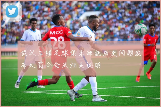 武汉三镇足球俱乐部就历史问题发布处罚公告及相关说明
