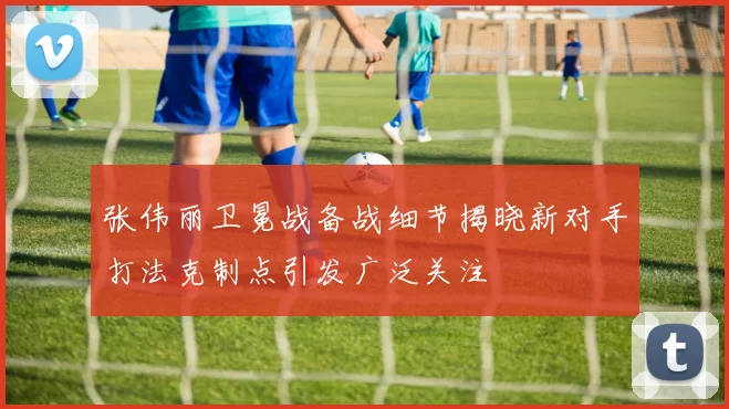 张伟丽卫冕战备战细节揭晓新对手打法克制点引发广泛关注